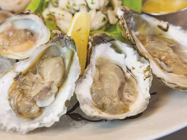 oysters_half_shell.jpg