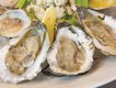 oysters_half_shell.jpg
